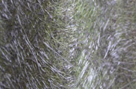 Upper Hartshay fibreglass roof work